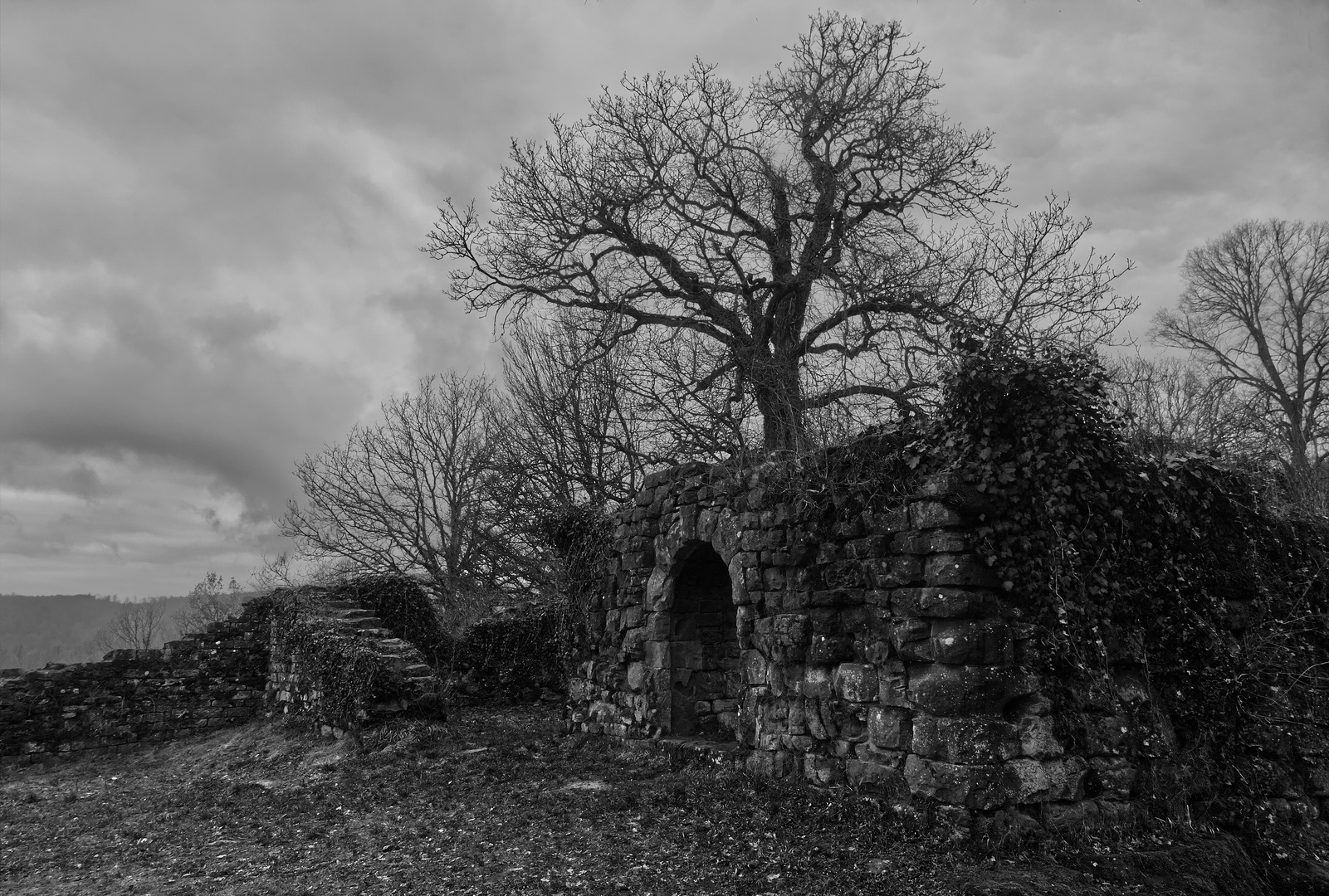 Burg Eberbach