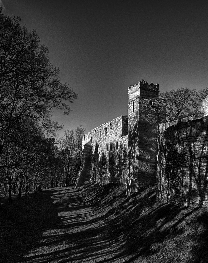 Burg Eckartsburg