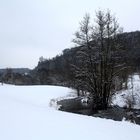 Burg Egloffstein