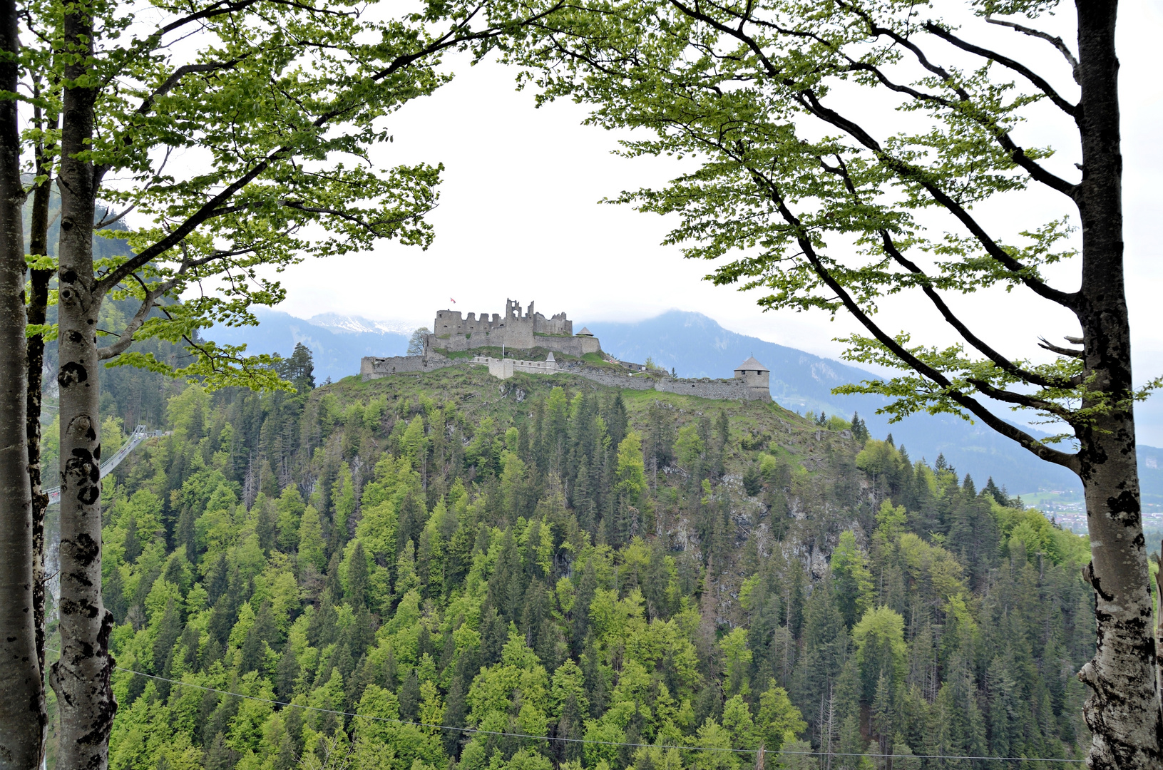 Burg Ehrenberg