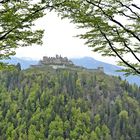 Burg Ehrenberg