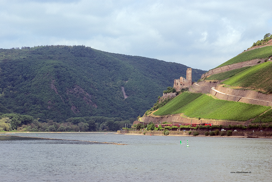 Burg Ehrenfels