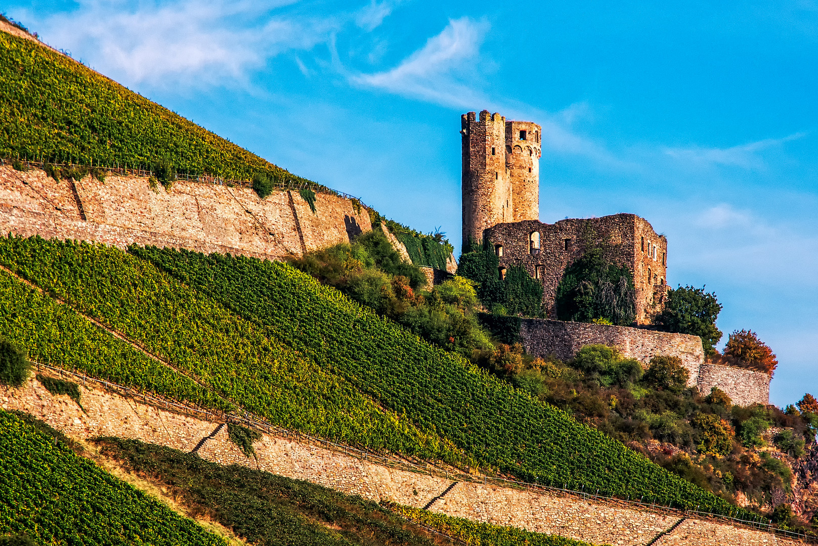 Burg Ehrenfels