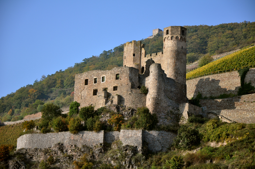 Burg Ehrenfels