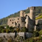 Burg Ehrenfels