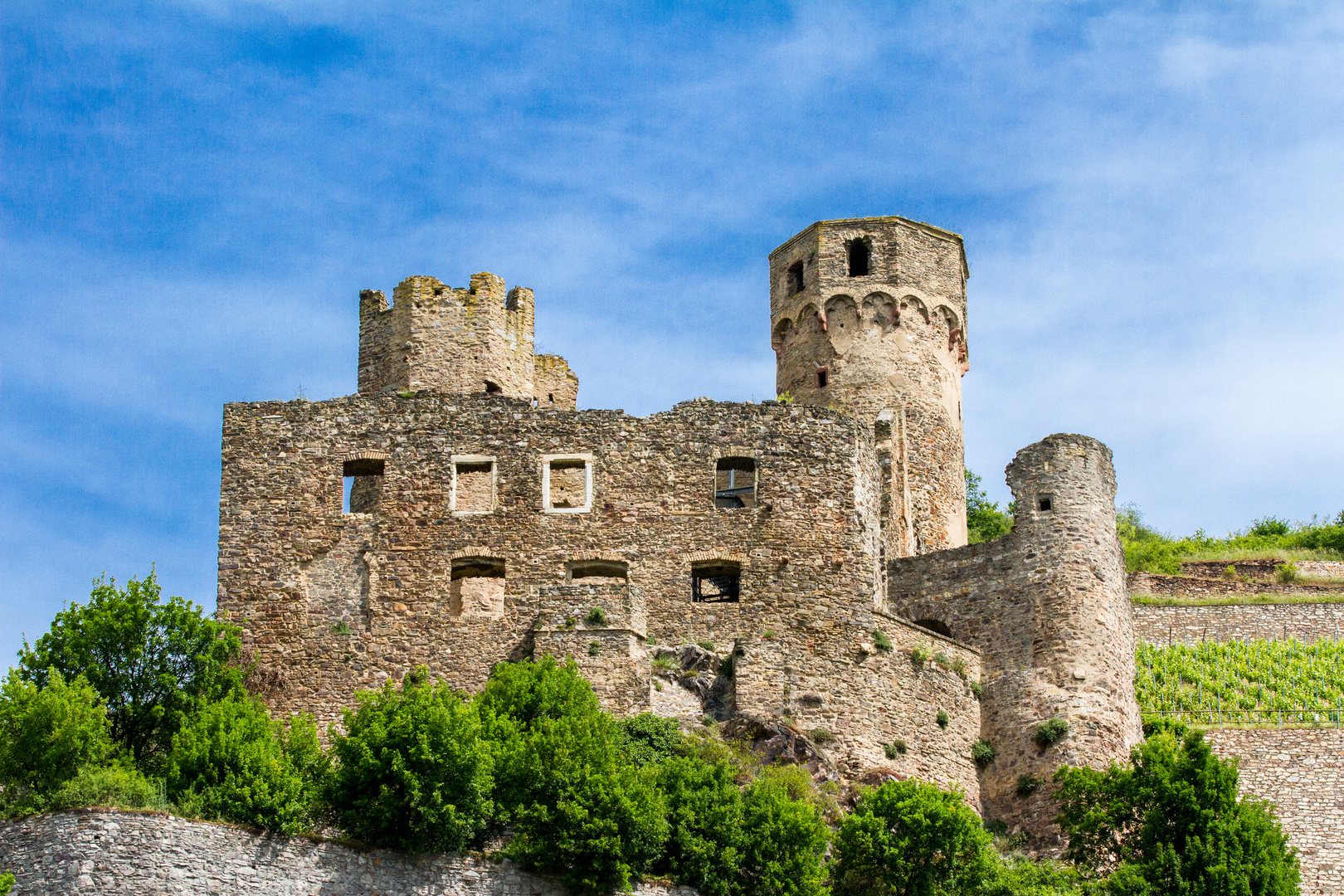 Burg Ehrenfels