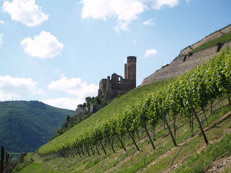 Burg Ehrenfels