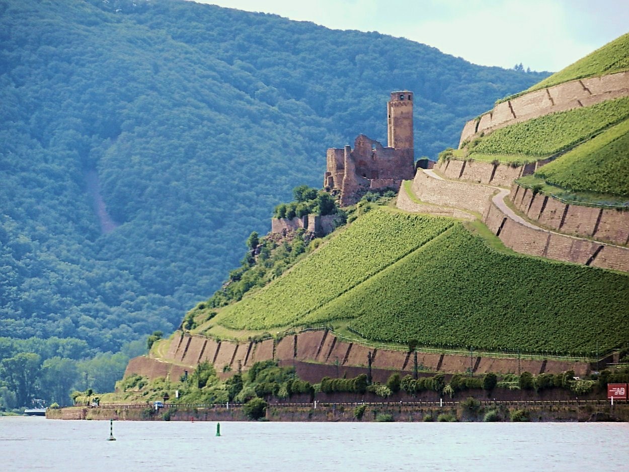 Burg Ehrenfels