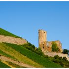 Burg Ehrenfels