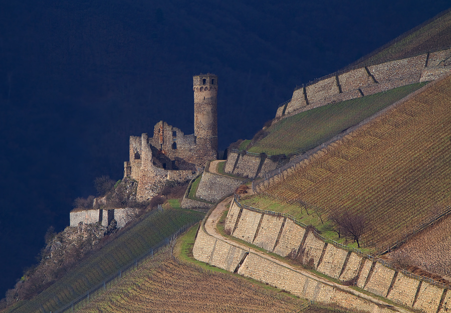 Burg Ehrenfels