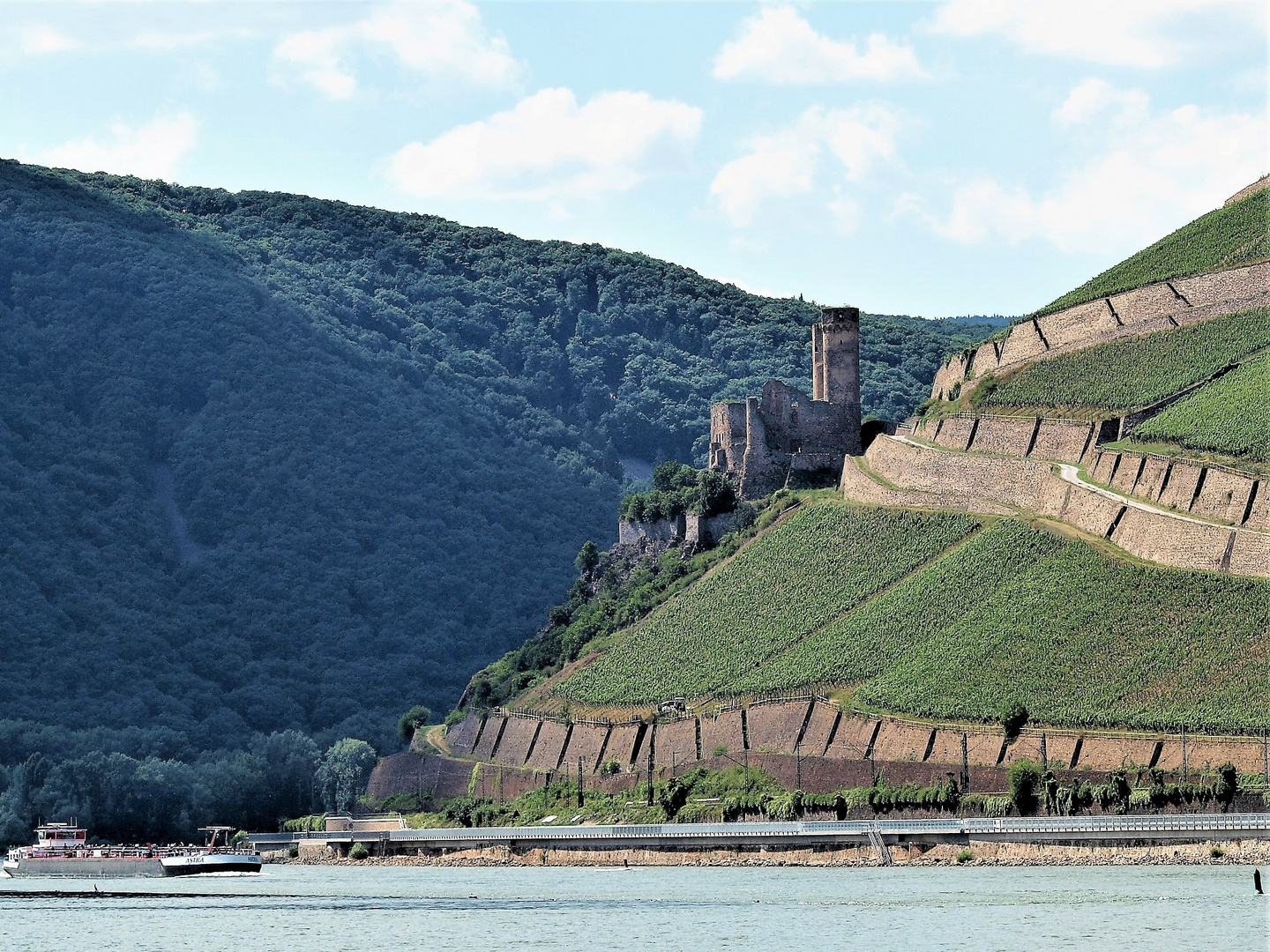 Burg Ehrenfels am Rhein