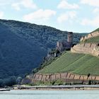 Burg Ehrenfels am Rhein