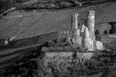 Burg Ehrenfels