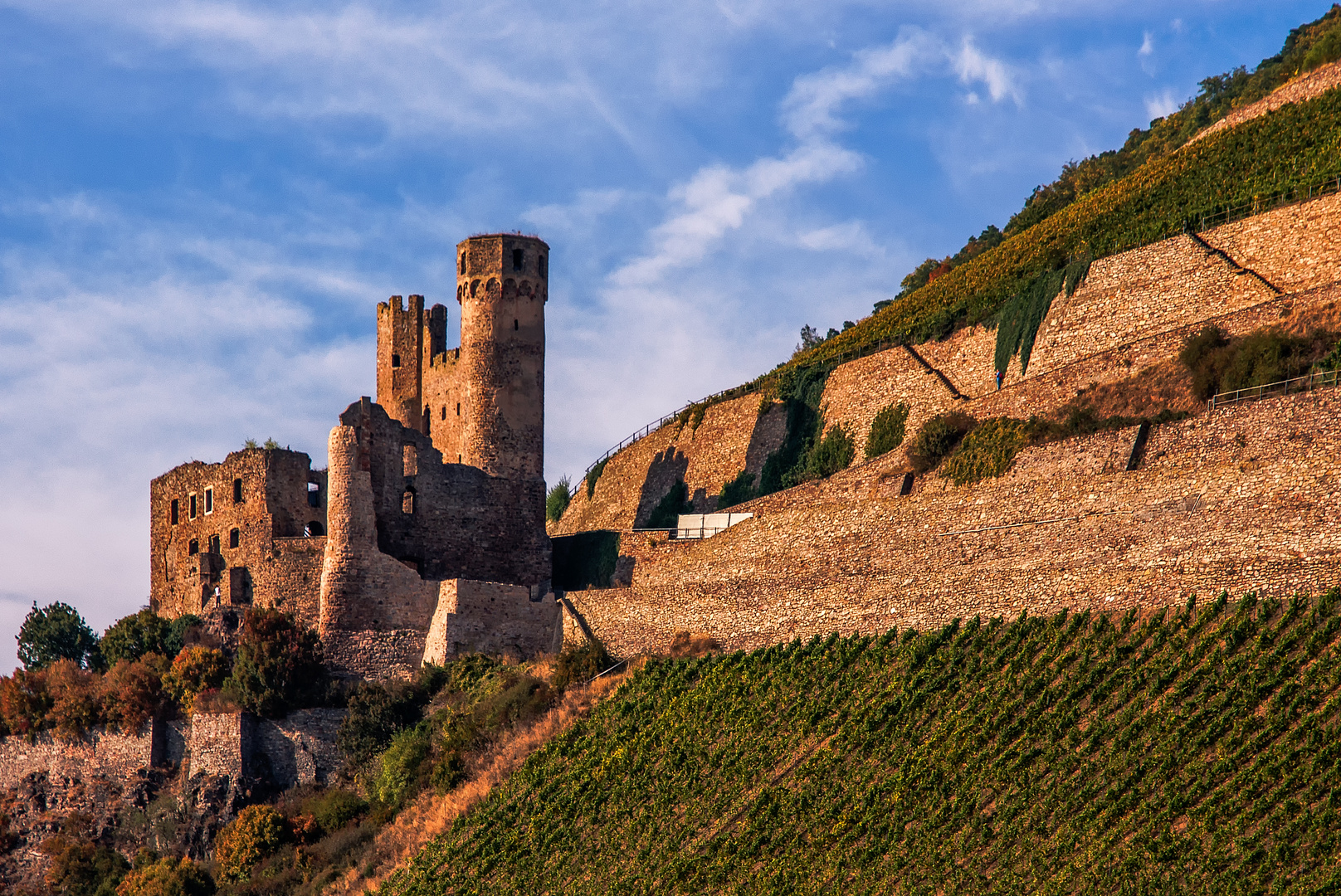 Burg Ehrenfels bei Rüdesheim