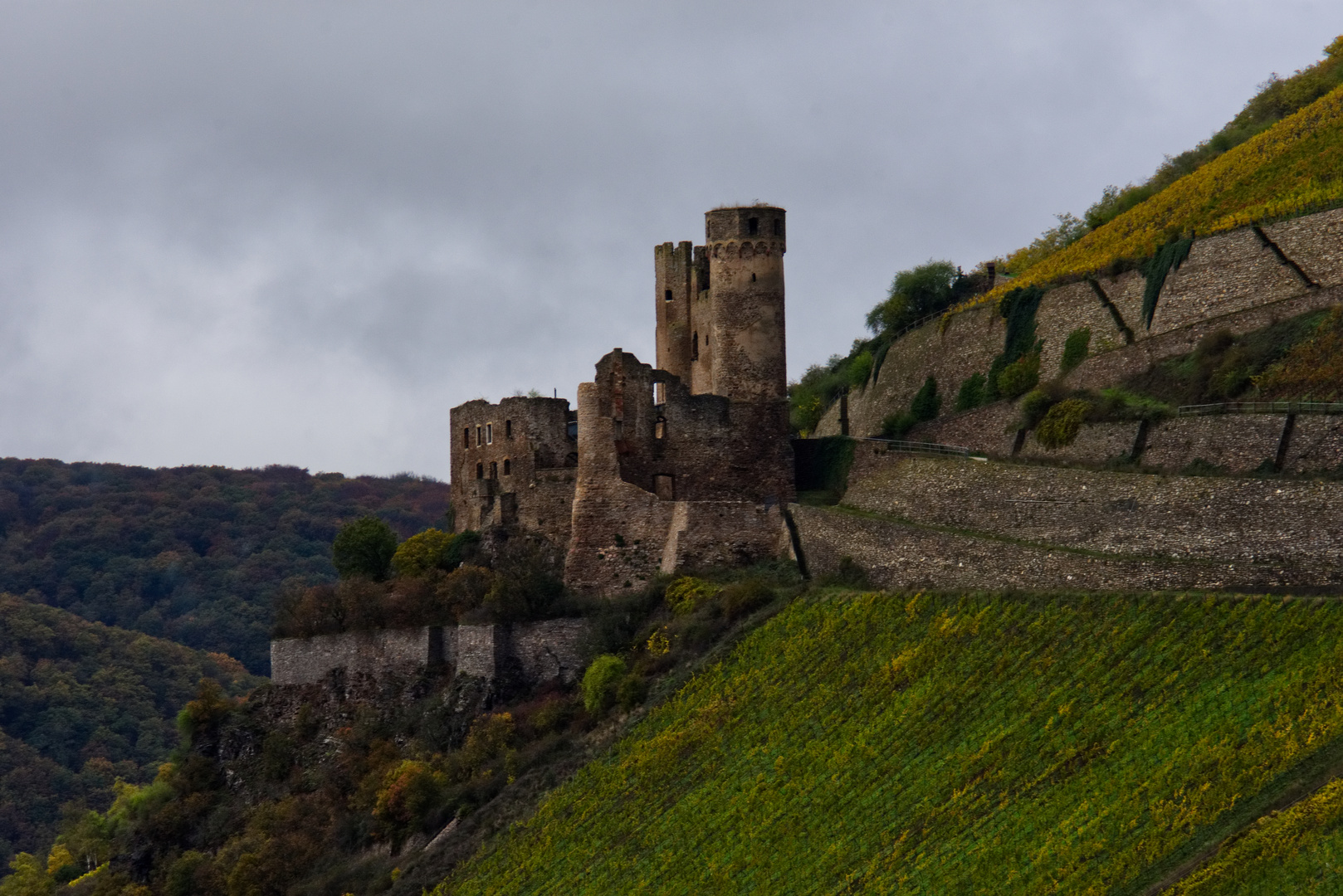 Burg Ehrenfels 