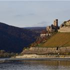 Burg Ehrenfels / Rhein