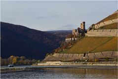 Burg Ehrenfels / Rhein