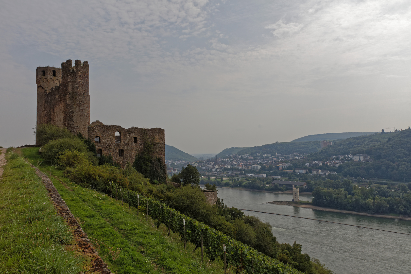 Burg Ehrenfels Rüdesheim