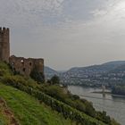 Burg Ehrenfels Rüdesheim