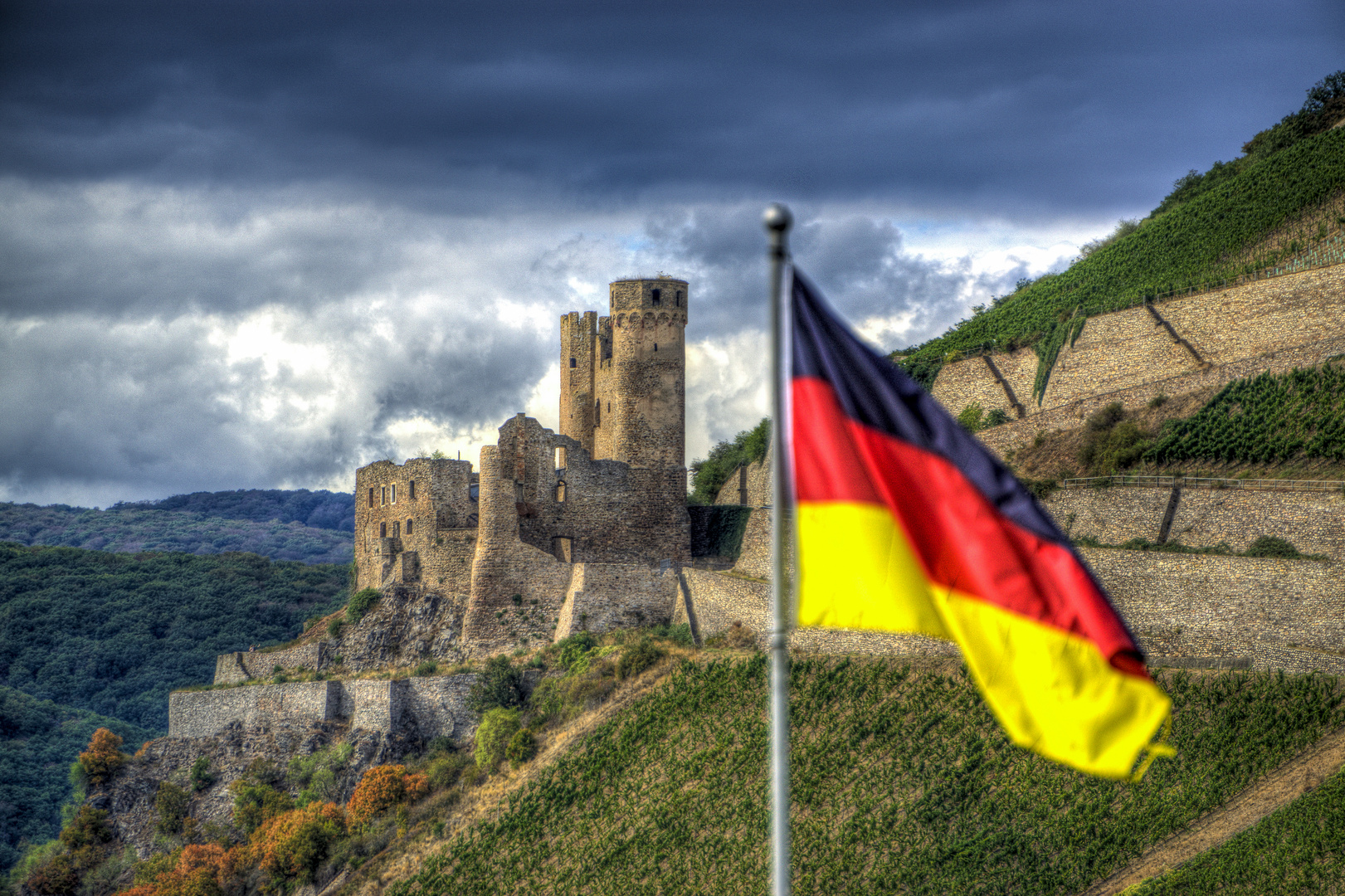 Burg Ehrenfels, Rüdesheim