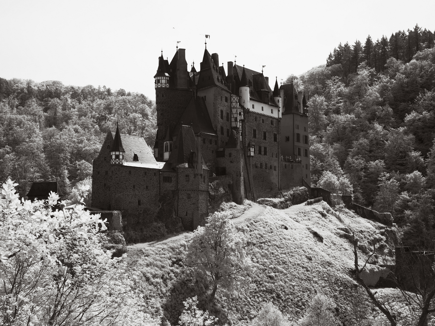 Burg Eltz