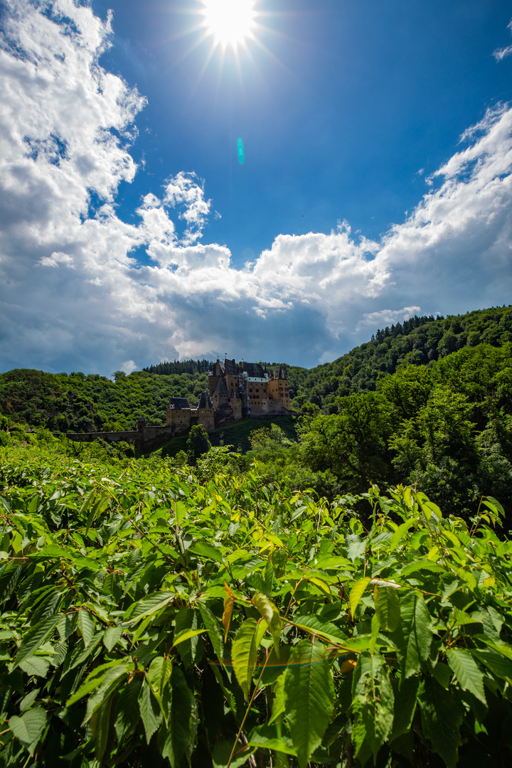 Burg Eltz