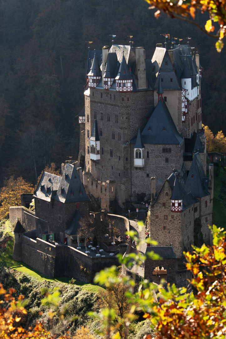  Burg Eltz DSC_4372