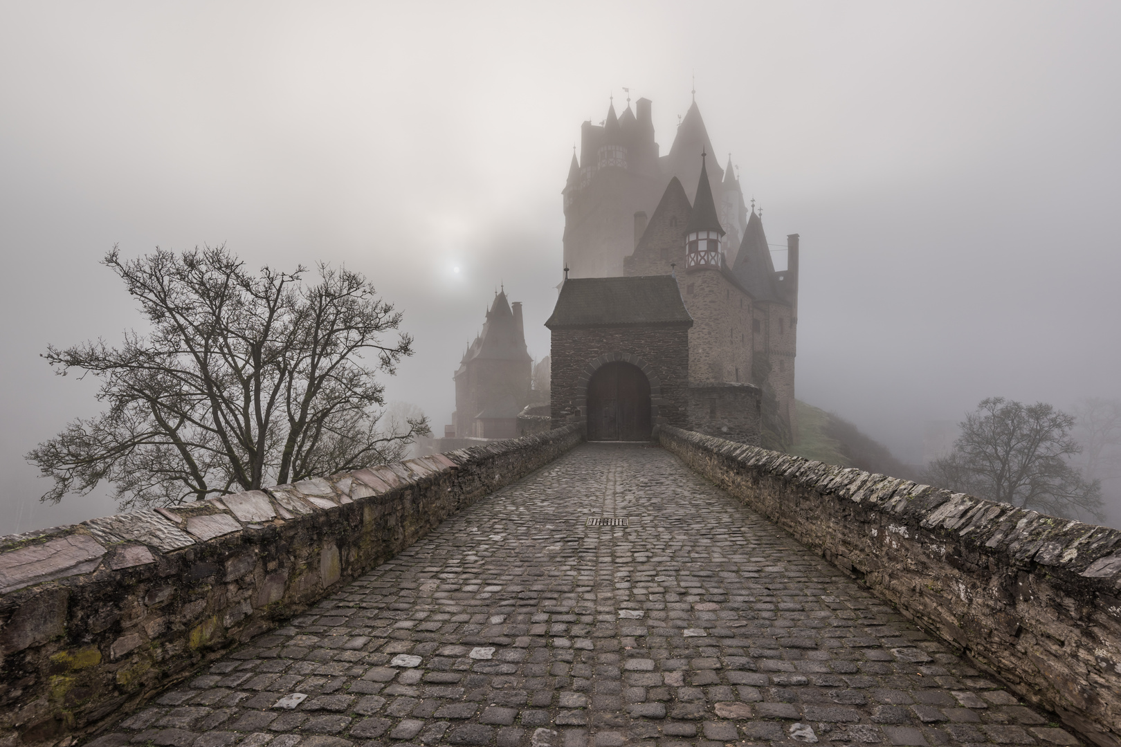 *Burg Eltz im Winternebel*