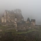 *Burg Eltz im Winternebel II*