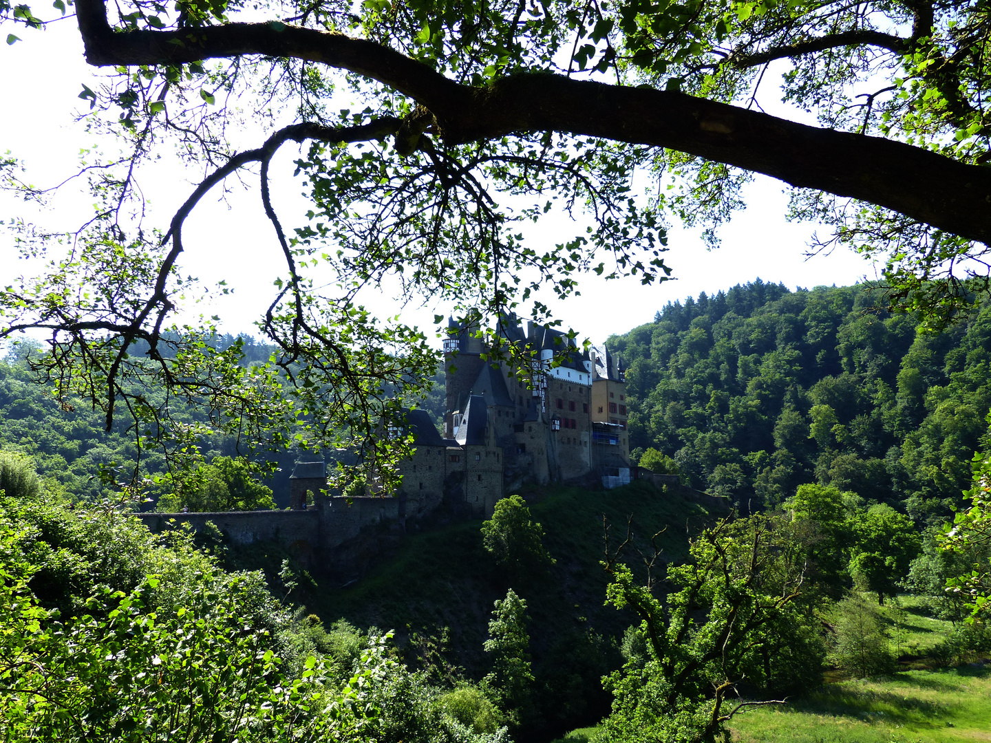 Burg Eltz IV