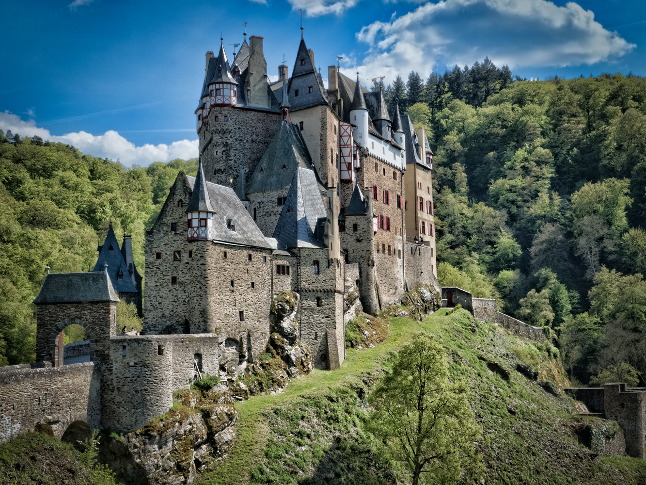 Burg Eltz Mosel (1 von 1)