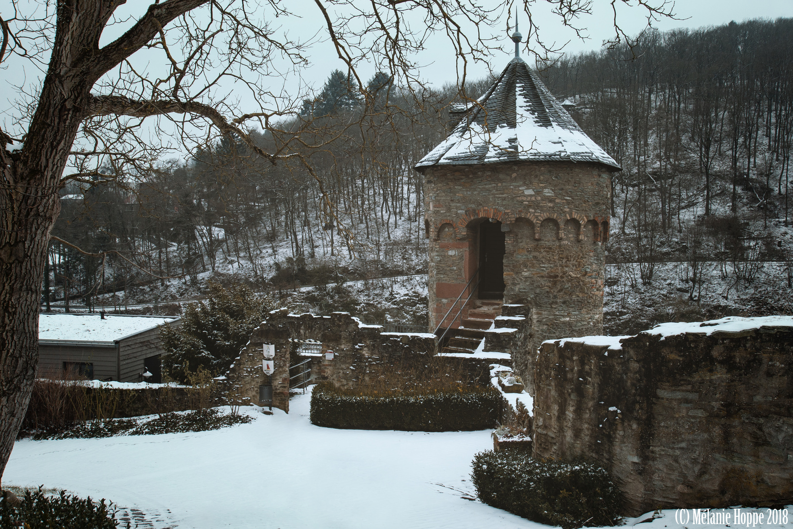 Burg Eppstein