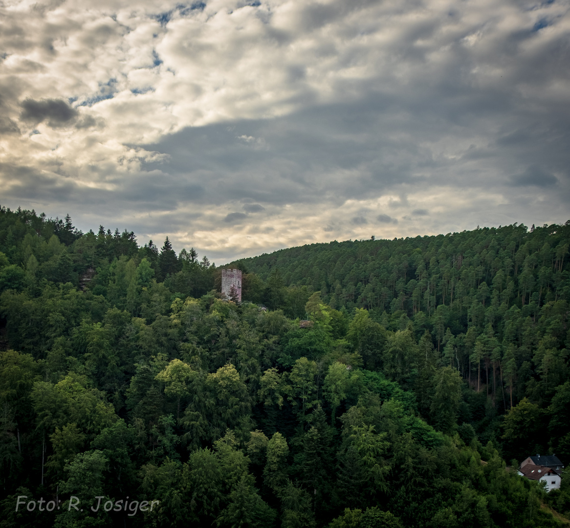 Burg Erfenstein