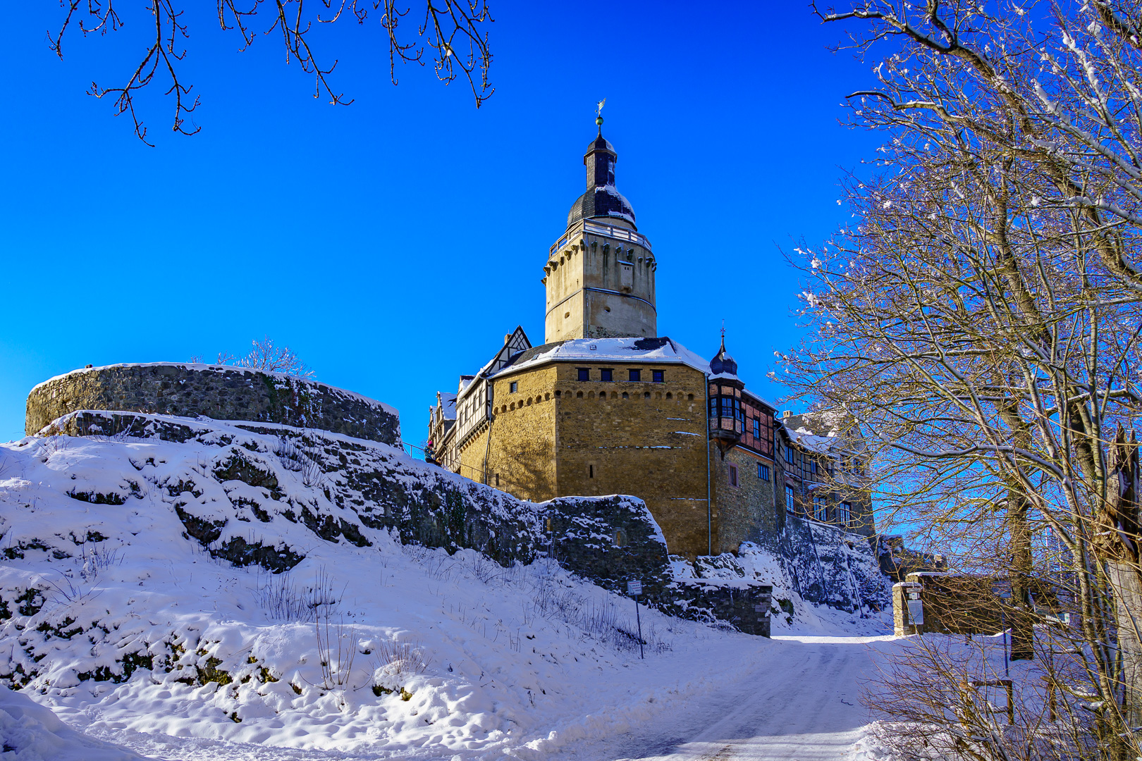 Burg Falkenstein (1)