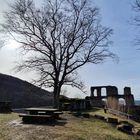 Burg Falkenstein