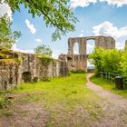 Burg Falkenstein 35