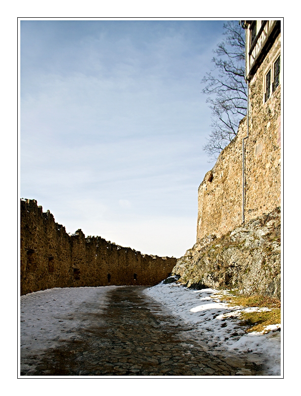 burg falkenstein (5)