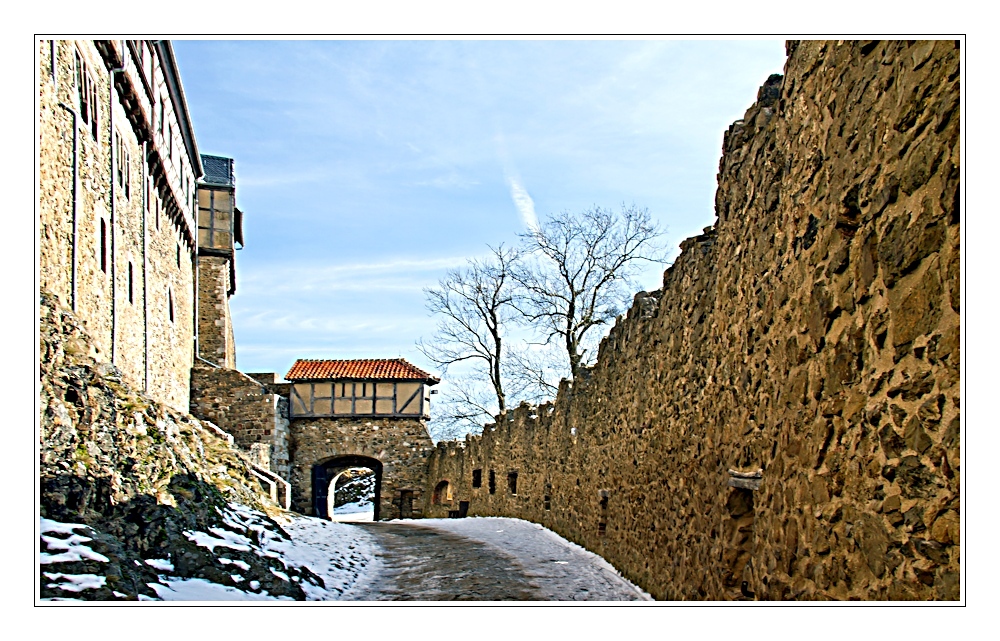 burg falkenstein (6)