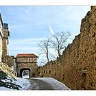 burg falkenstein (6)