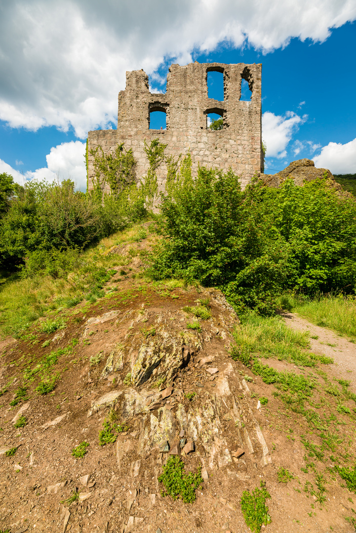 Burg Falkenstein 71