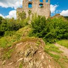 Burg Falkenstein 71