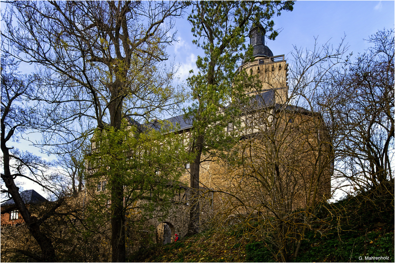 Burg Falkenstein (Harz)