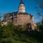 Burg Falkenstein im Harz