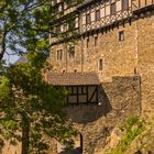 Burg Falkenstein V - Ostharz
