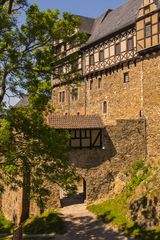 Burg Falkenstein V - Ostharz