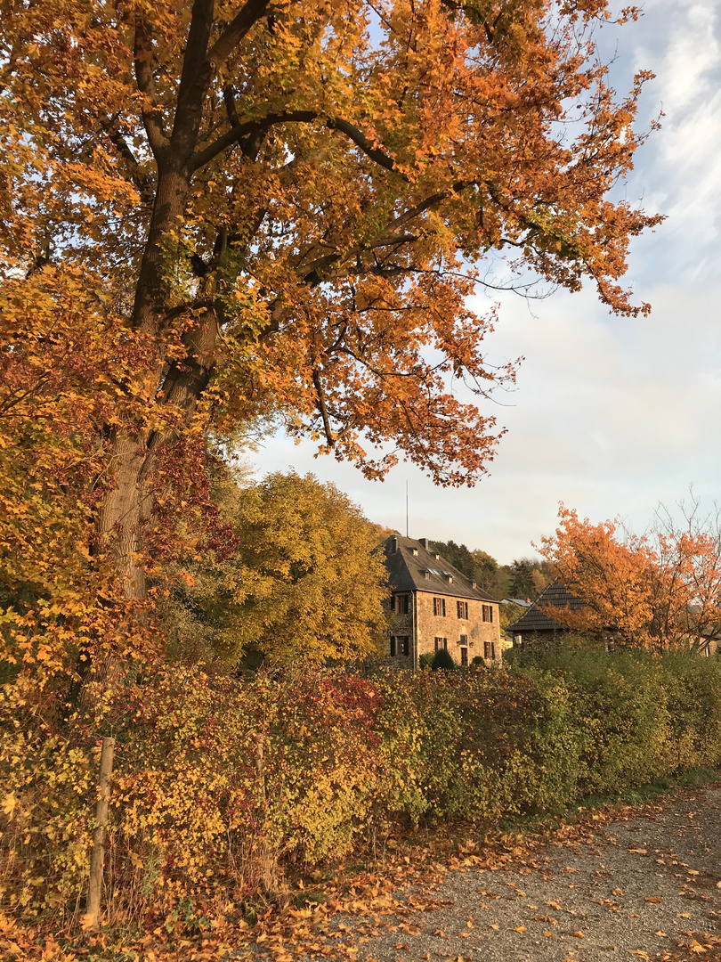 Burg Filzelt am Rhein im Herbst