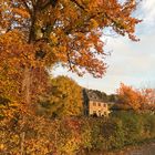 Burg Filzelt am Rhein im Herbst
