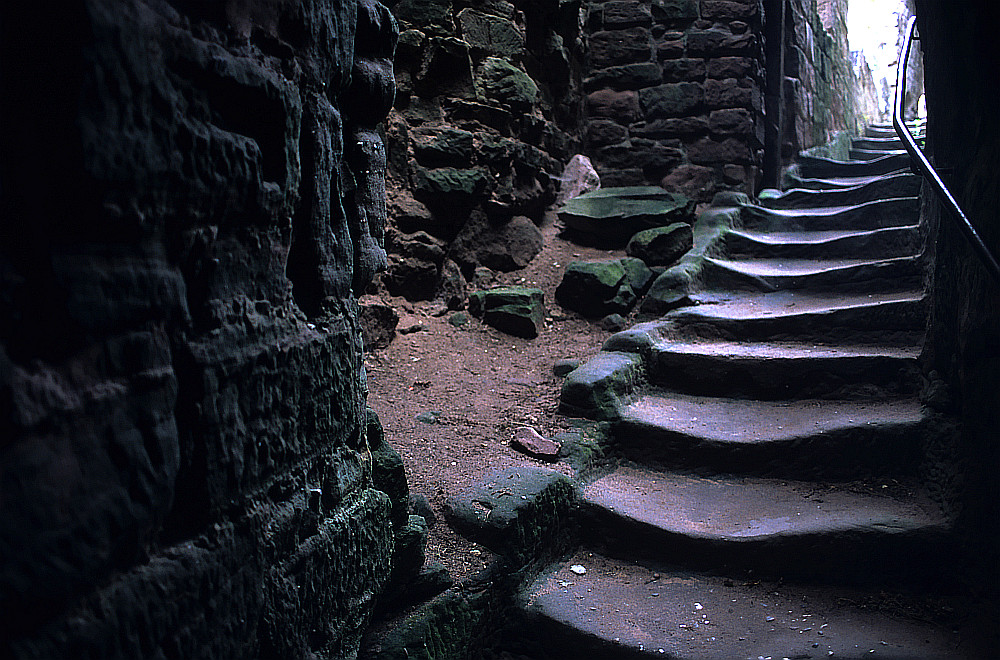 Burg Fleckenstein