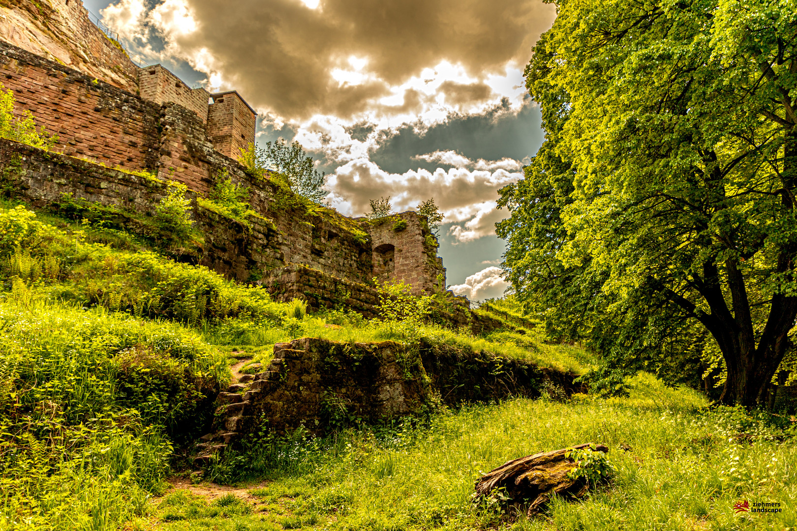 Burg Fleckenstein