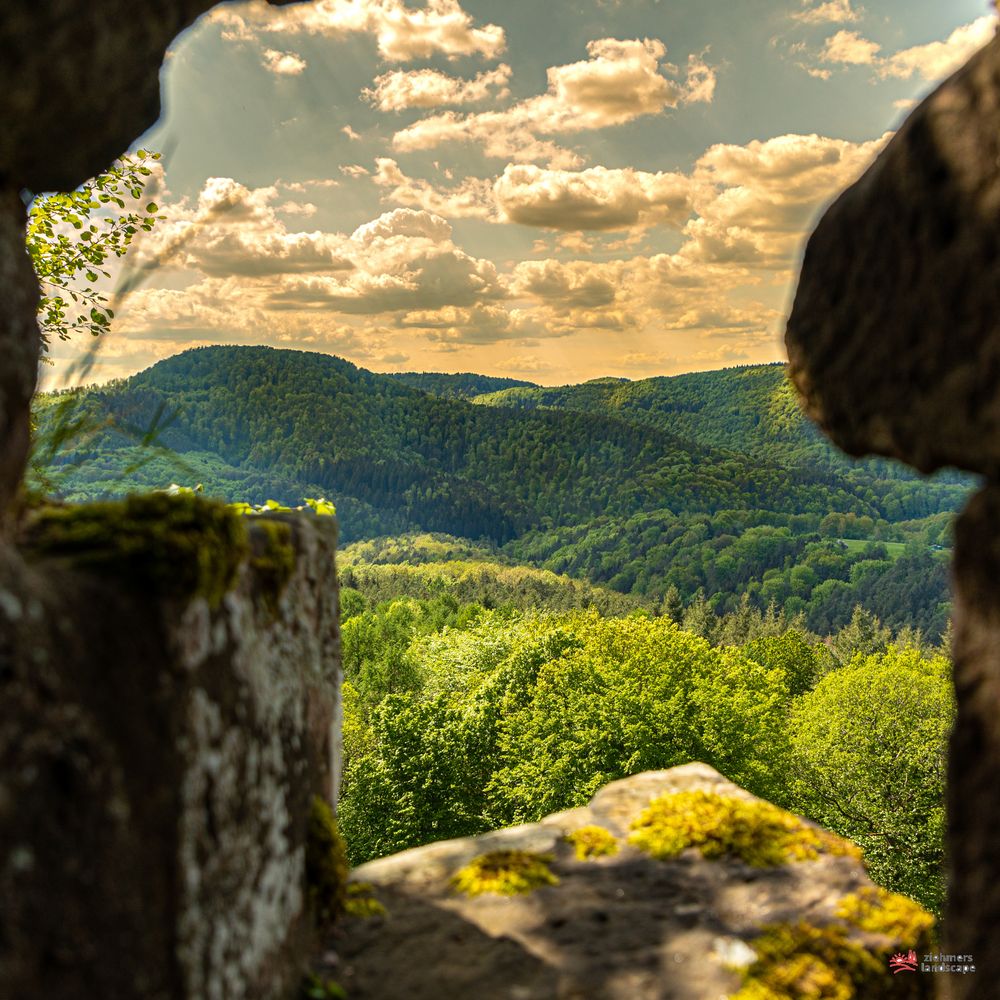 Burg Fleckenstein